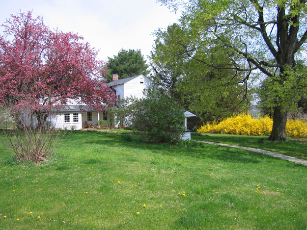Spring View from Back Yard